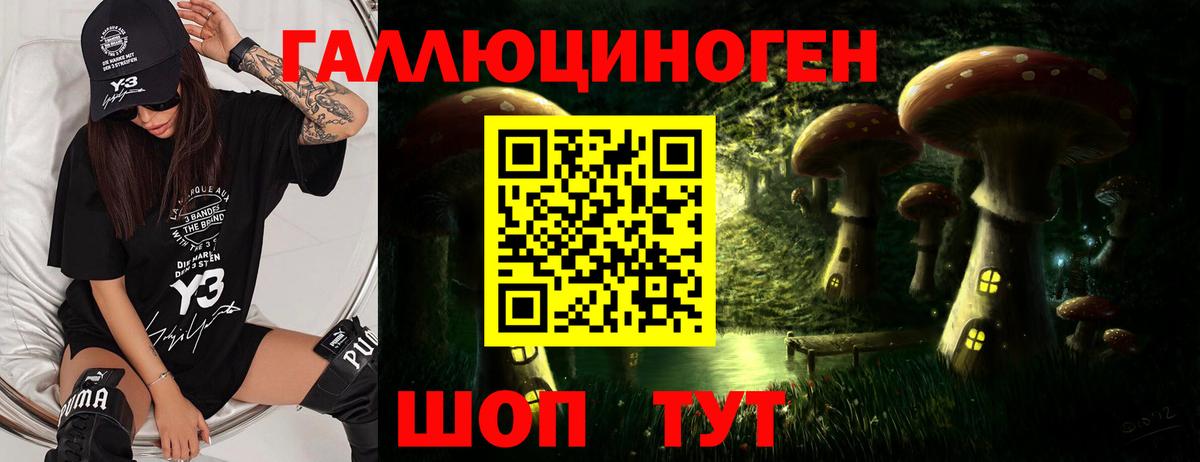 Нововоронеж  Псилоцибиновые грибы мухоморы  Вход с VPN 