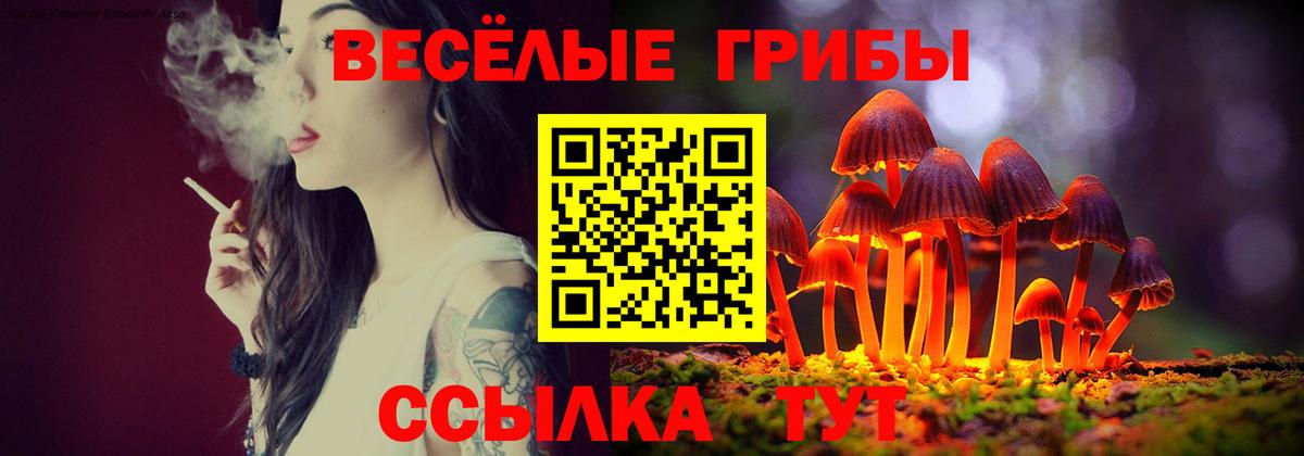 Галлюциногенные грибы Magic Shrooms Нововоронеж
